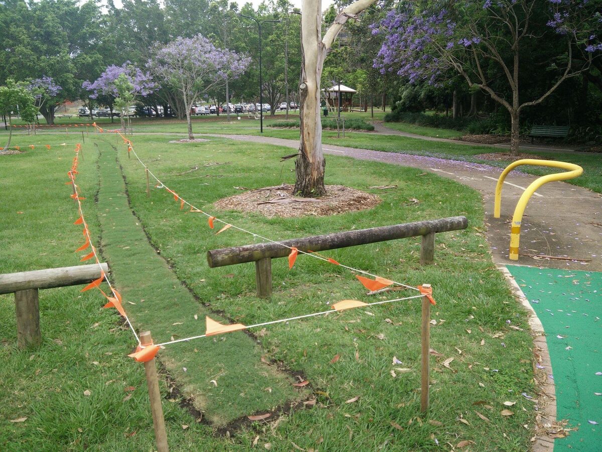In a park, a desire path beside the official walkway has been roped off with orange flagging and replanted with new turf.